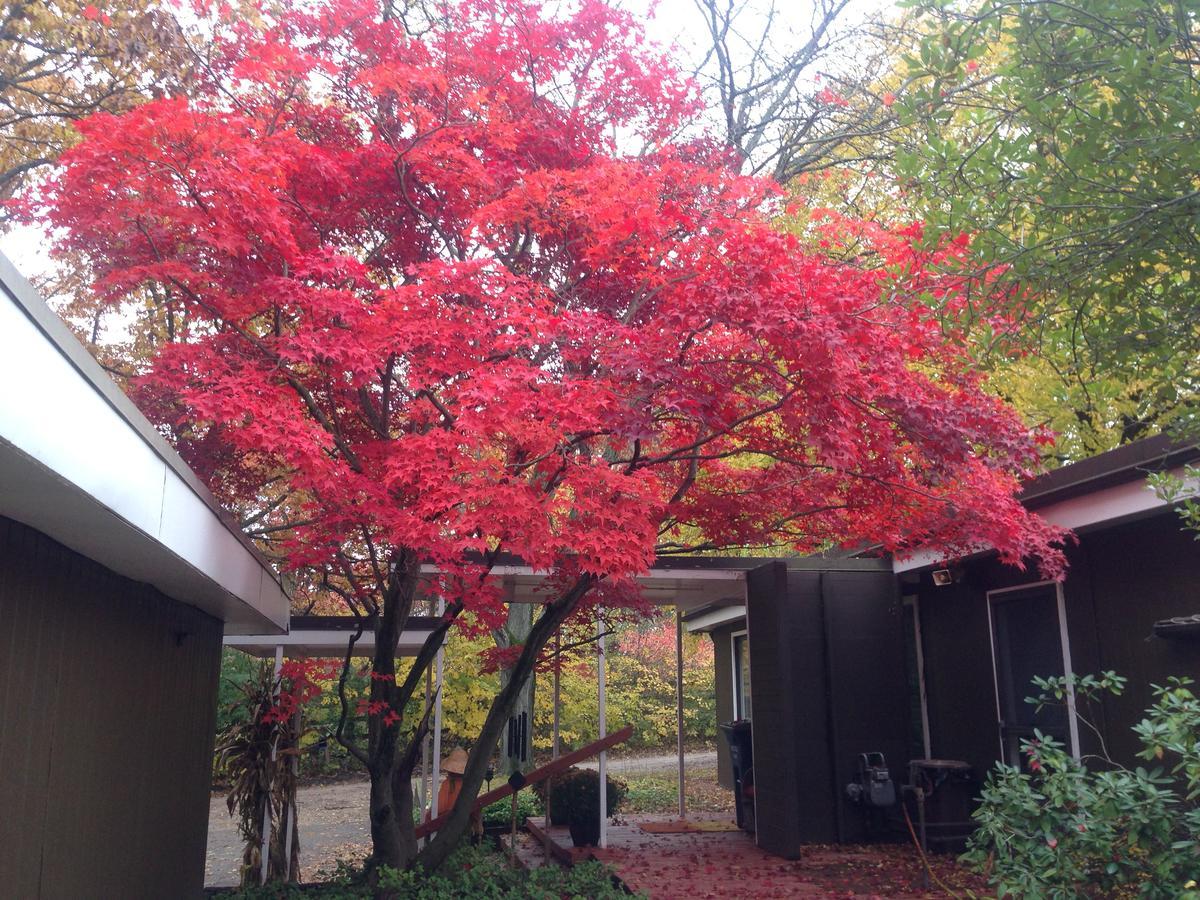 Huron River Guest House 安娜堡 外观 照片